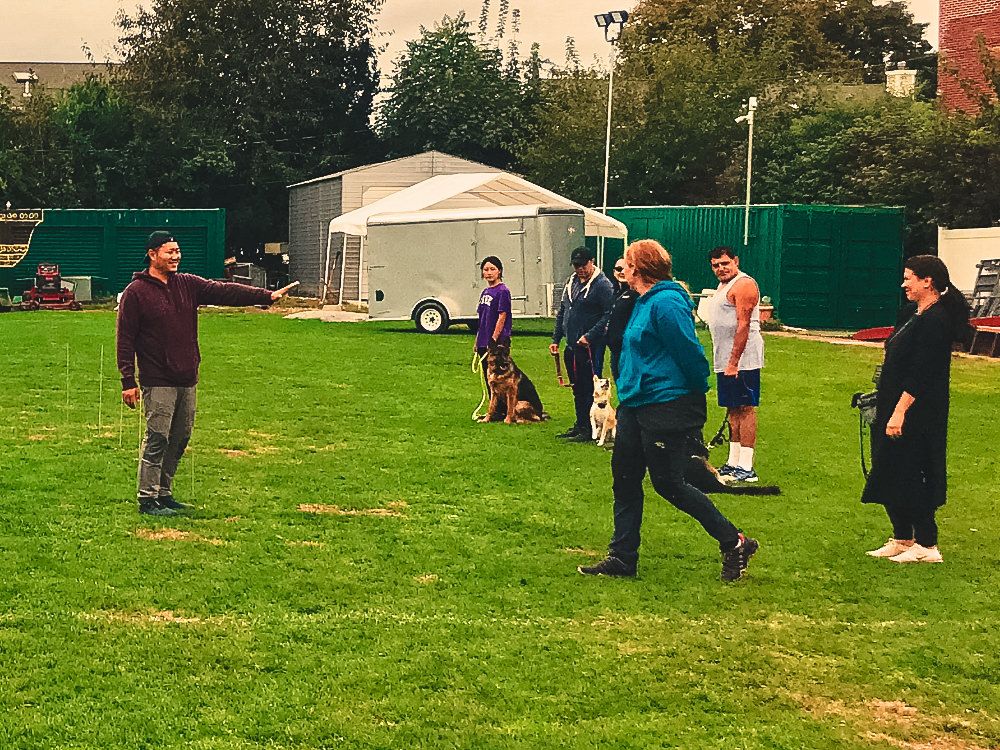 Steve Hong stands on a vibrant green field, actively directing a group of dog owners in a training session. The clients are attentively listening, with their dogs by their sides in various attentive postures, creating an engaged and collaborative atmosphere for learning and obedience training.