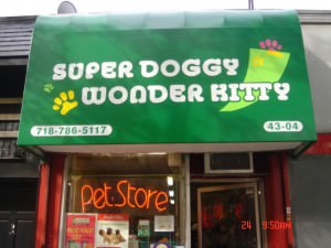 Super Doggy Wonder Kitty grooming store storefront sign in Sunnyside, NY.